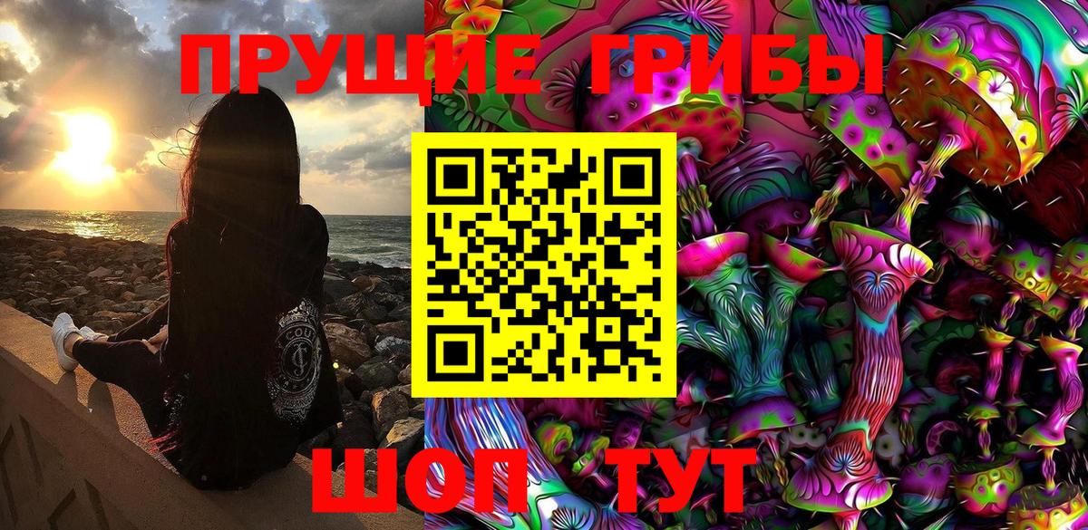 Псилоцибиновые грибы Psilocybine cubensis Кызыл